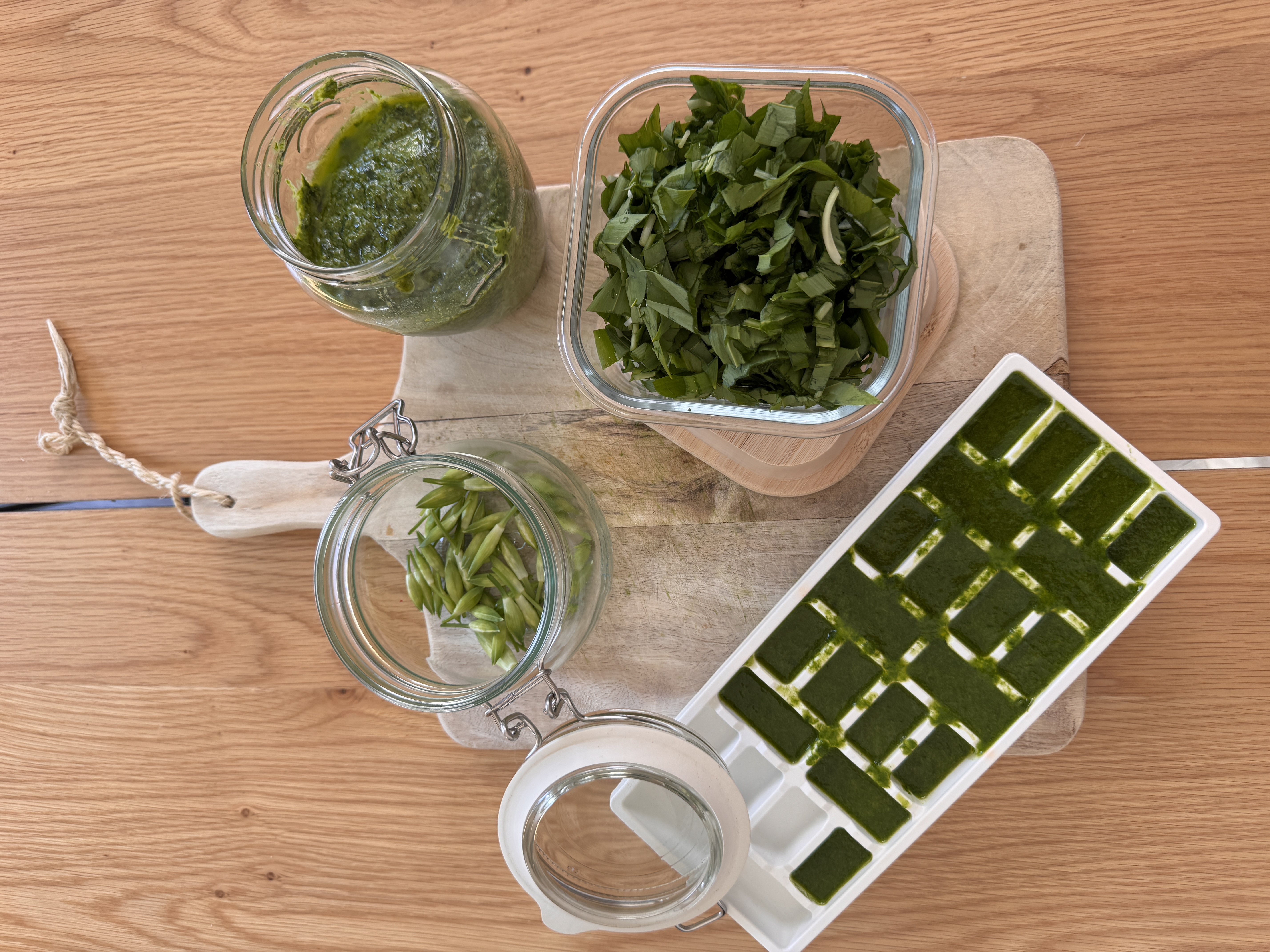 A Year of Wild Garlic – Four Simple Preservations