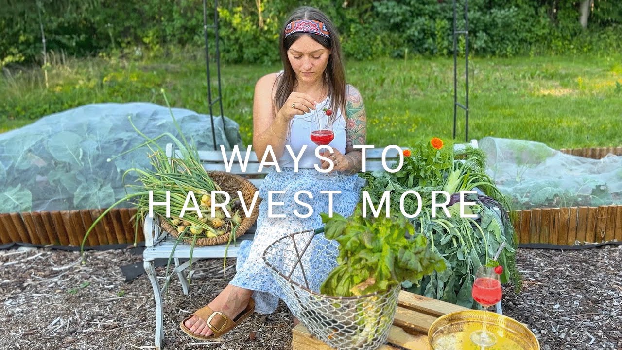 #4 Improving my VEGETABLE GARDEN - Ways to HARVEST MORE I Edible Backyard Series
